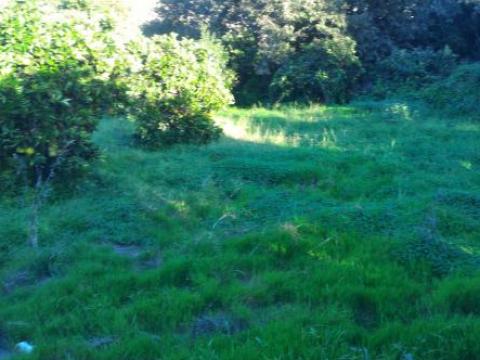 COD.0000000416 - TERRENO   ZONA   OLIMPO  MQ  2800
