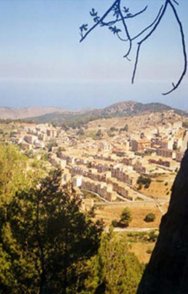 COD.0000000659 - Bosco edificabile Gratteri Cefal&ugrave; 17.000 mq vista mare
